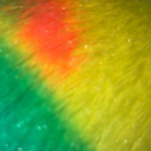 Meet your Posher, Kaileigh